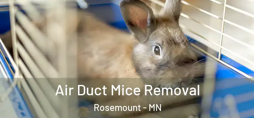  Air Duct Mice Removal Rosemount - MN