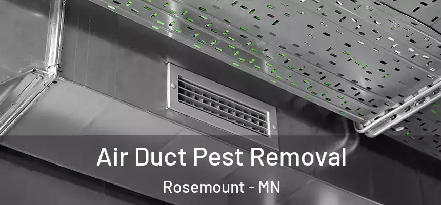  Air Duct Pest Removal Rosemount - MN