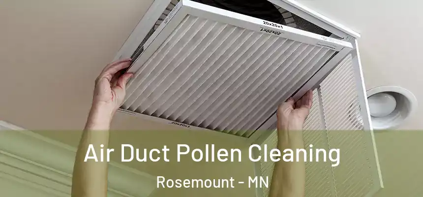  Air Duct Pollen Cleaning Rosemount - MN