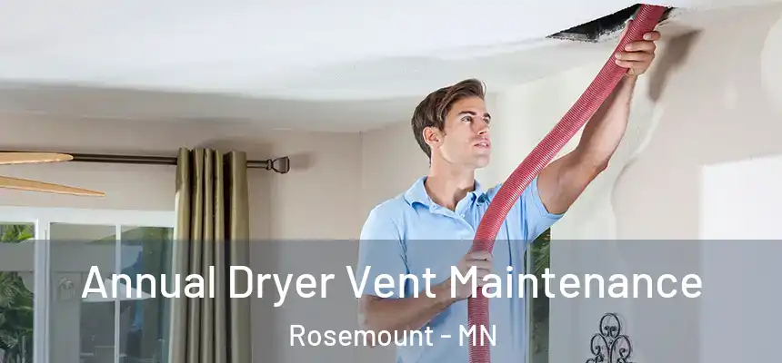  Annual Dryer Vent Maintenance Rosemount - MN
