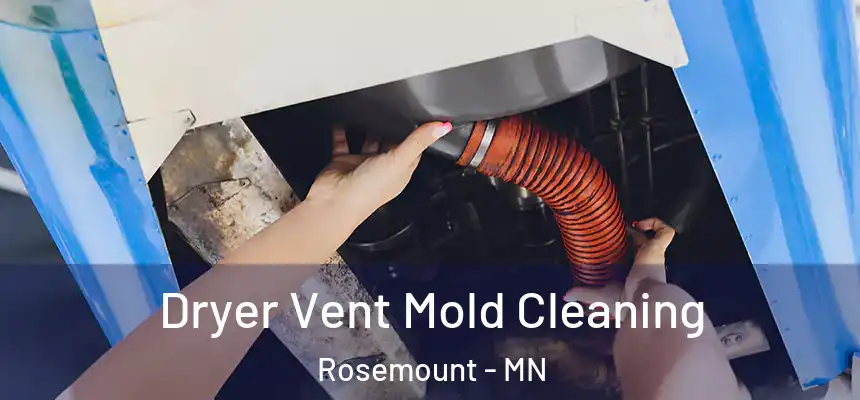 Dryer Vent Mold Cleaning Rosemount - MN