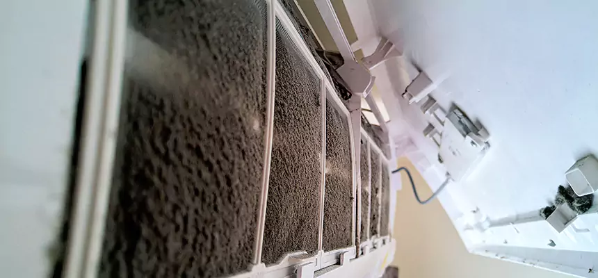 Preventive Air Duct Bacteria Removal in Rosemount