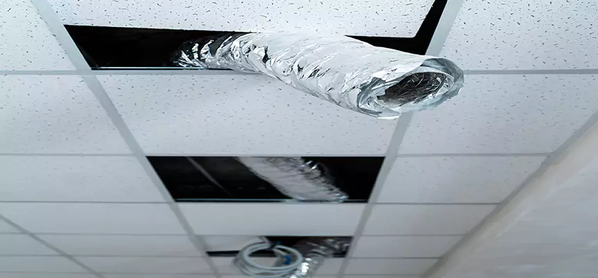 Our Air Duct Pet Hair Removal Services in Rosemount, MN