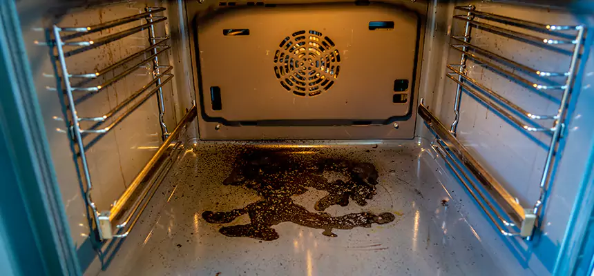 Our Dryer Vent Mold Cleaning Services in Rosemount, MN