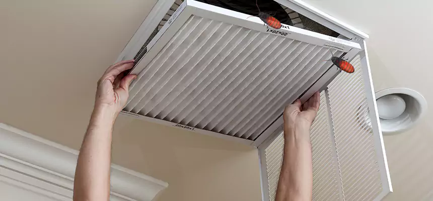 Our Insect Removal from Air Ducts Services in Rosemount, MN
