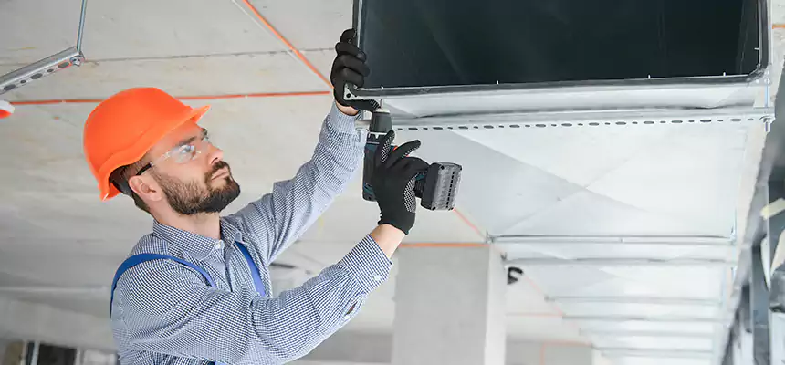 Roof Cap & Exterior Hood Lint Buildup Removal – Rosemount