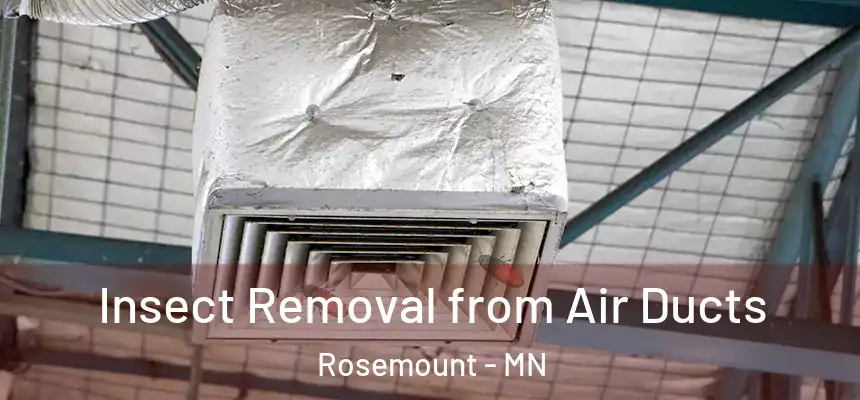  Insect Removal from Air Ducts Rosemount - MN
