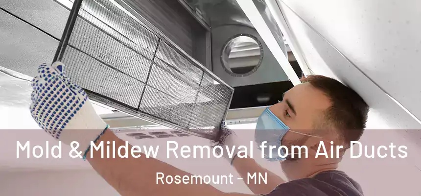  Mold & Mildew Removal from Air Ducts Rosemount - MN