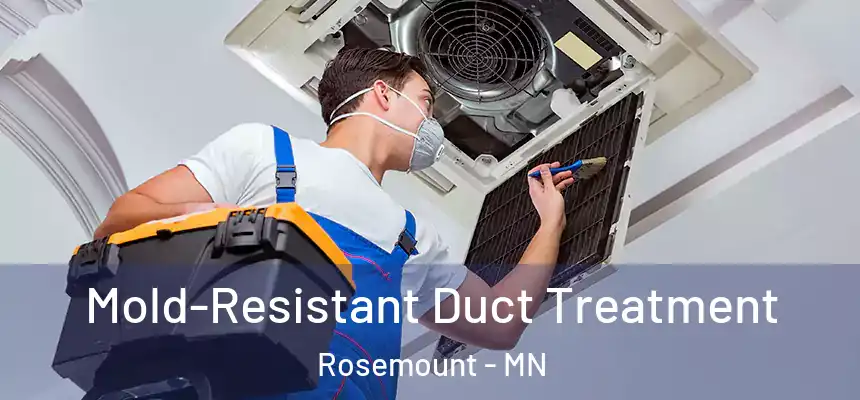  Mold-Resistant Duct Treatment Rosemount - MN