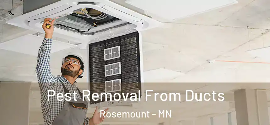  Pest Removal From Ducts Rosemount - MN
