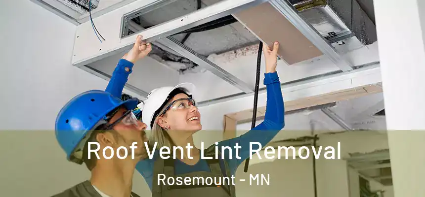  Roof Vent Lint Removal Rosemount - MN