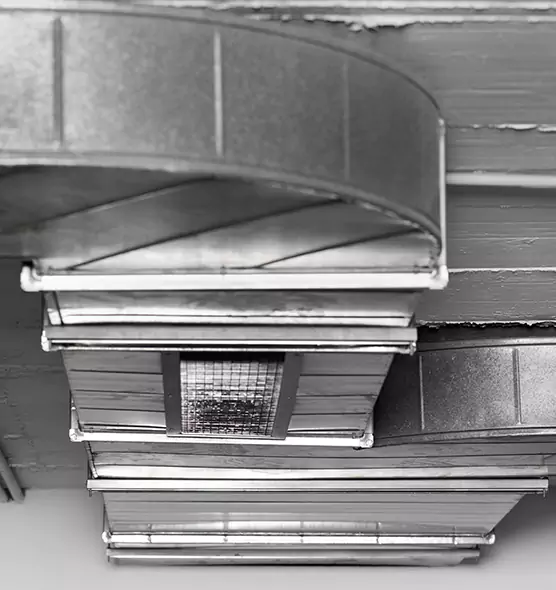 Professional Air Duct Pest Removal in Rosemount, MN