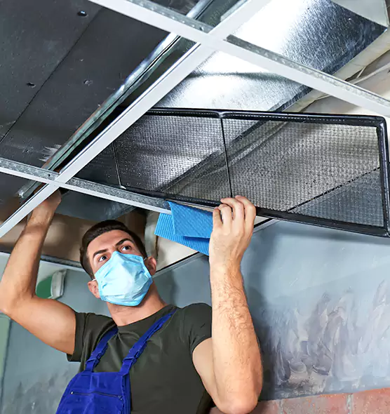 Professional Air Duct Pollen Cleaning in Rosemount, MN