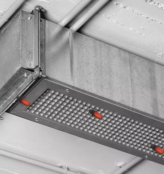 Affordable Insect Removal from Air Ducts in Rosemount, MN