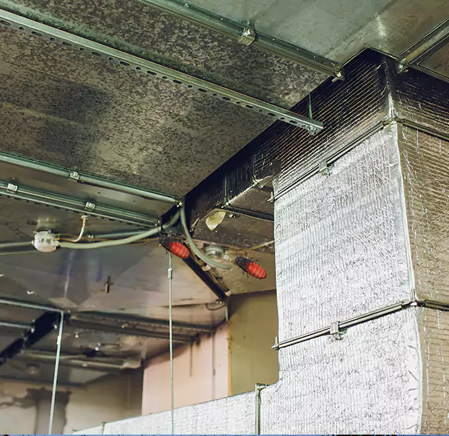 Why Homeowners & Businesses Trust Us in Rosemount, MN?