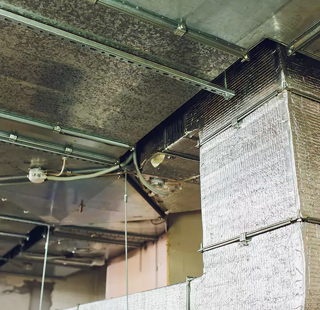 Why Homeowners & Businesses Trust Us in Rosemount, MN?